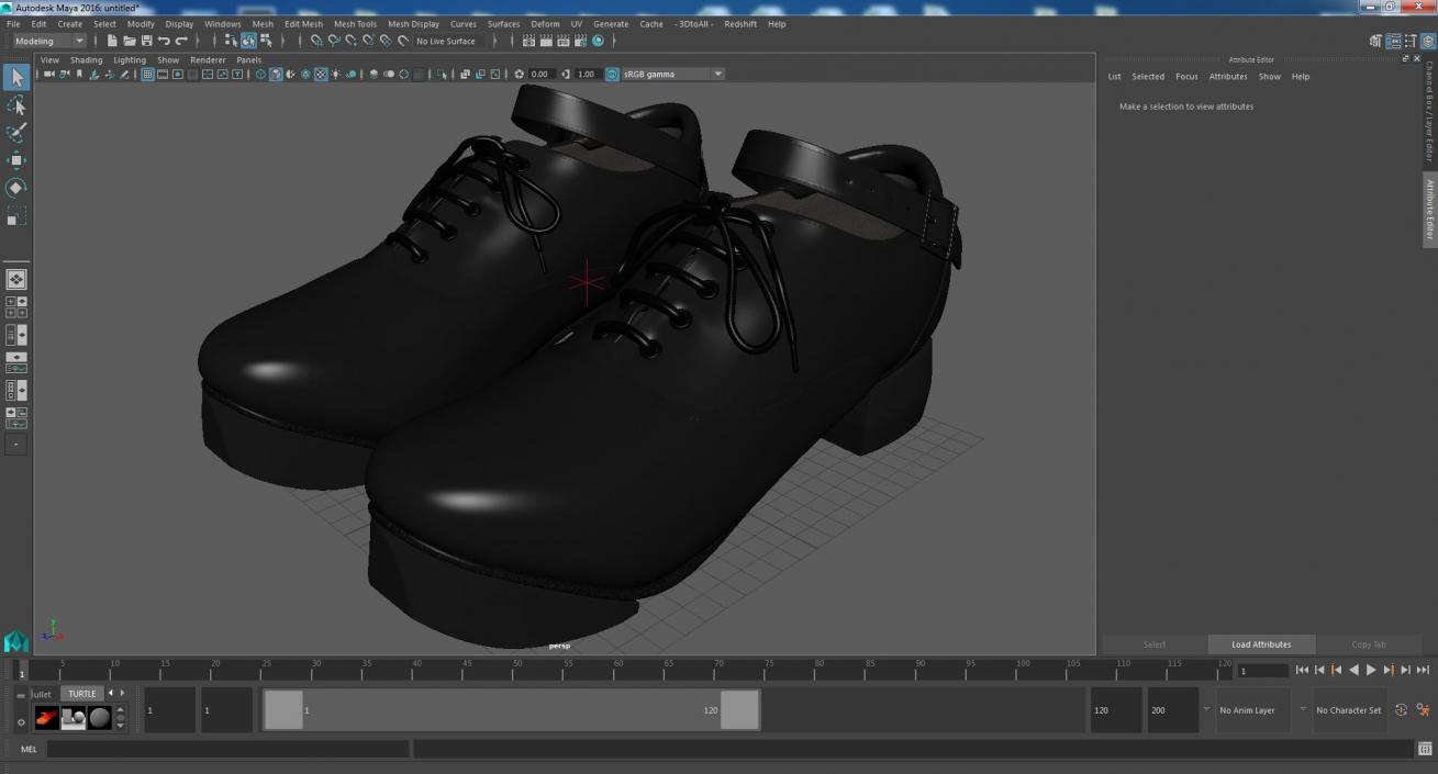 3D Irish Dance Jig Shoes