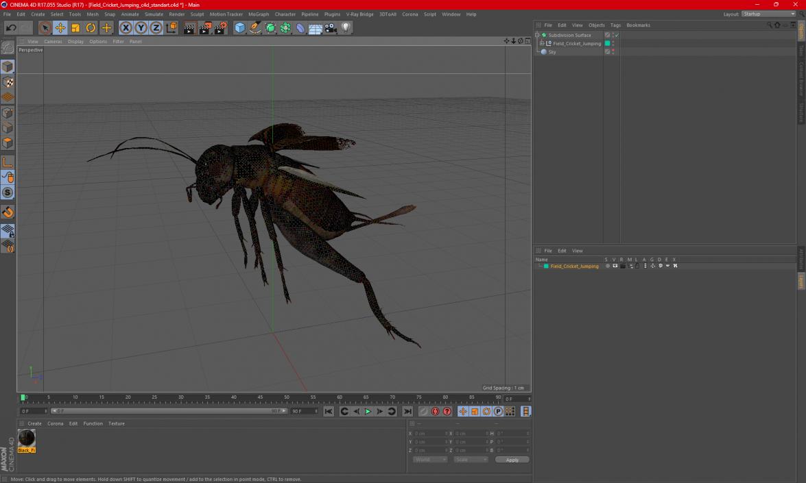 3D Field Cricket Jumping 2 model