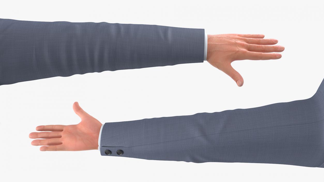 3D Businessman Rigged model