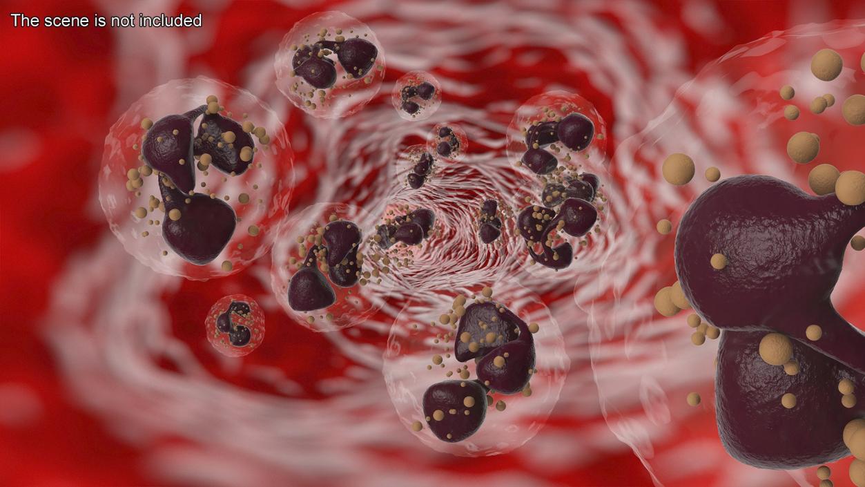 Blood Cells Collection 3 3D model