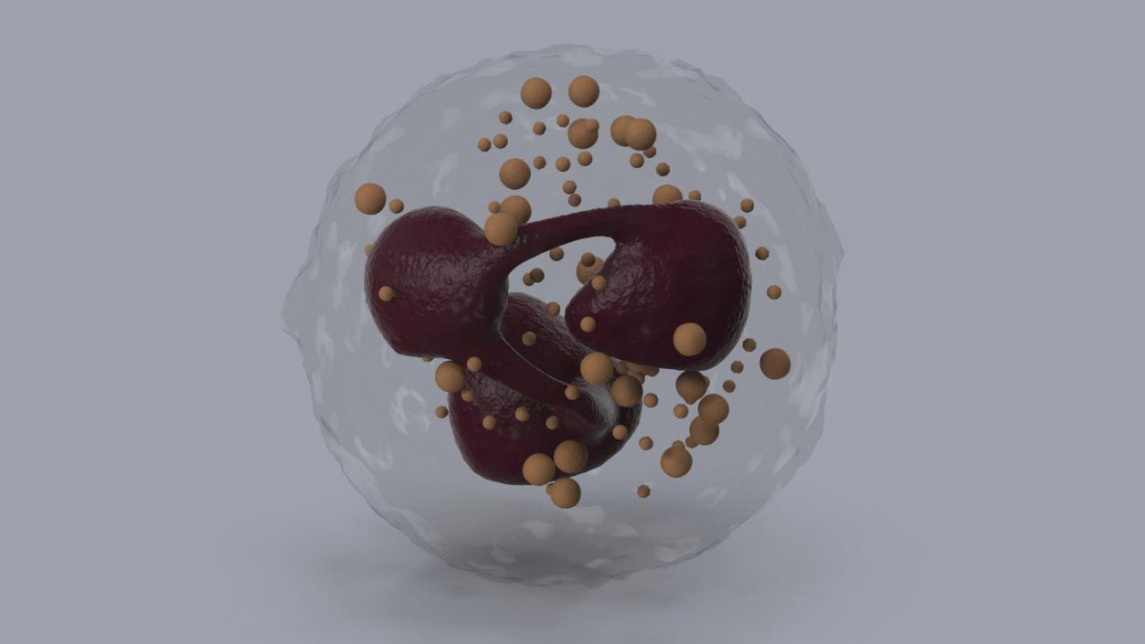 Blood Cells Collection 3 3D model