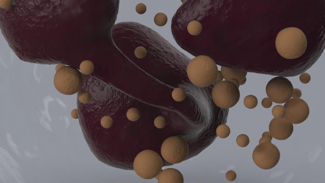 Blood Cells Collection 3 3D model