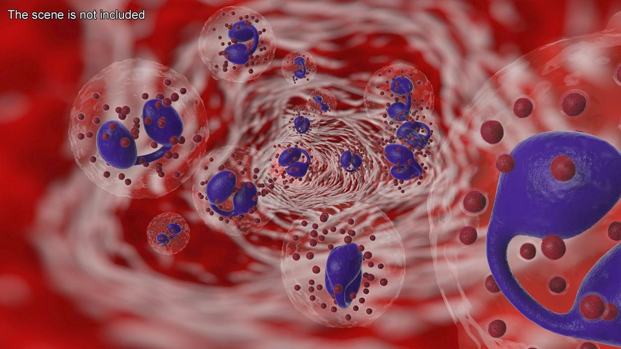 Blood Cells Collection 3 3D model