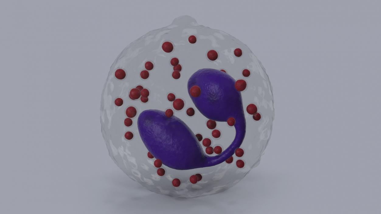 Blood Cells Collection 3 3D model