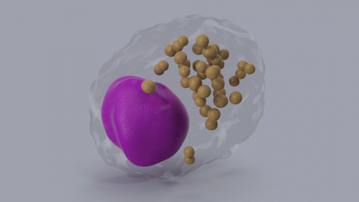 Blood Cells Collection 3 3D model