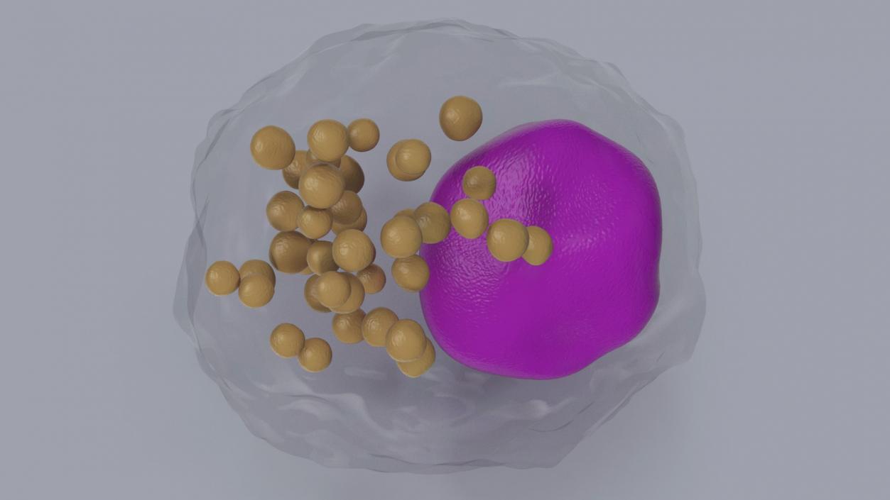 Blood Cells Collection 3 3D model