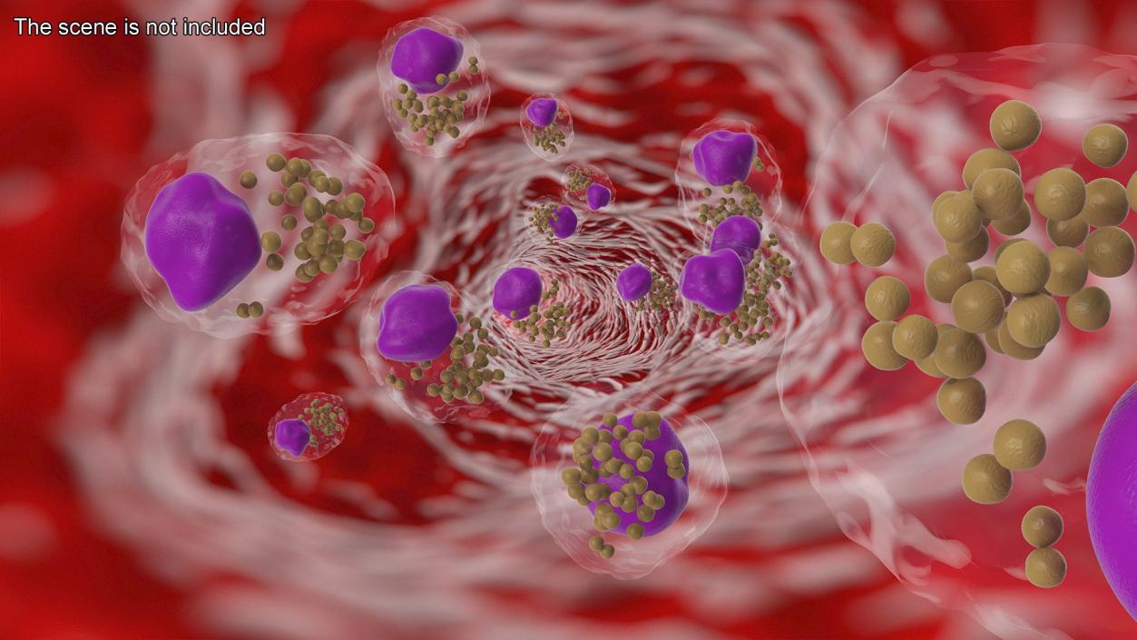 Blood Cells Collection 3 3D model