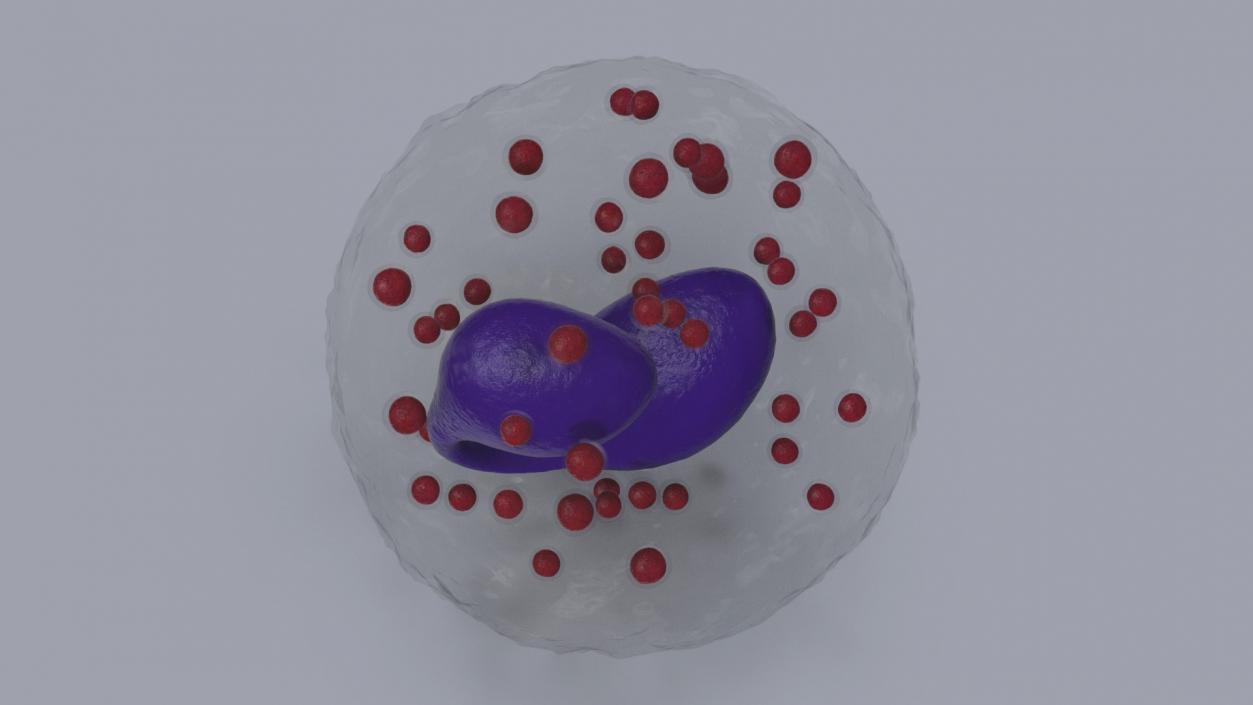 Blood Cells Collection 3 3D model