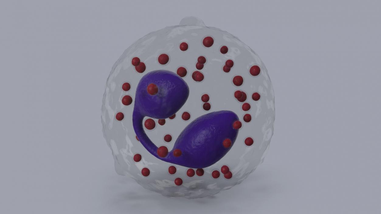 Blood Cells Collection 3 3D model