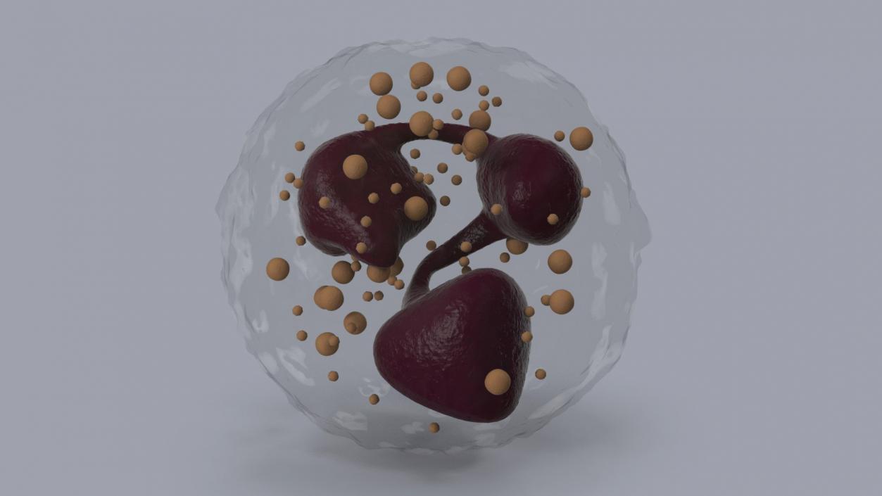 Blood Cells Collection 3 3D model