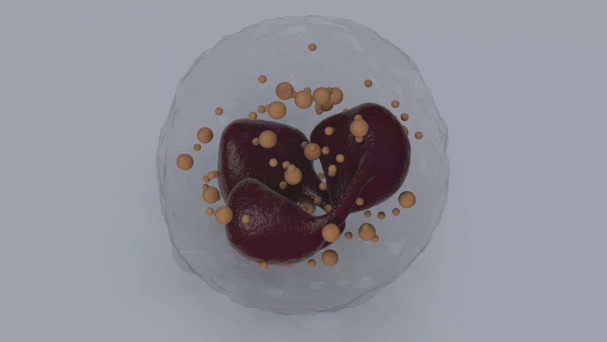 Blood Cells Collection 3 3D model