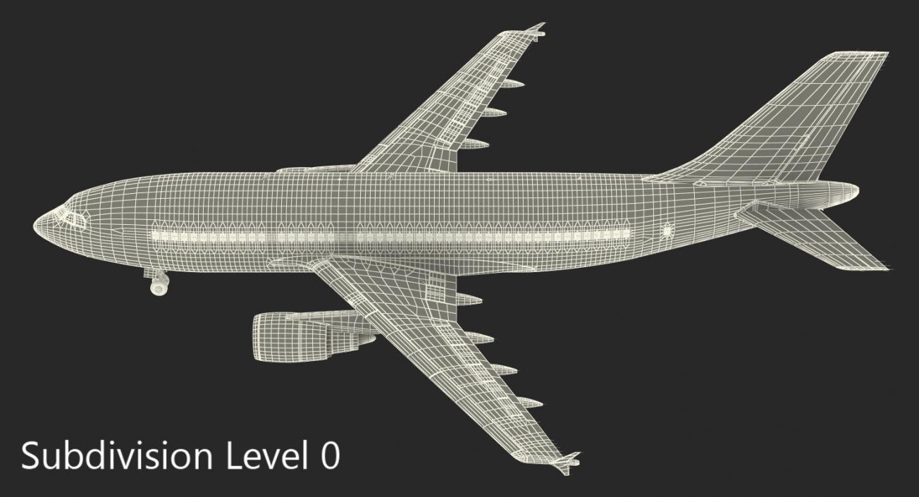 Airbus A310-300 Rigged 3D