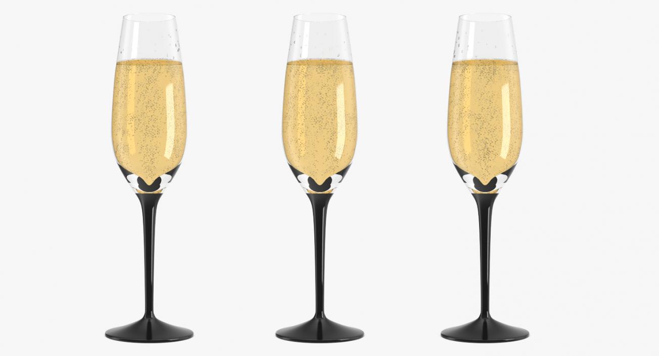 Champagne Accessories Collection 3D