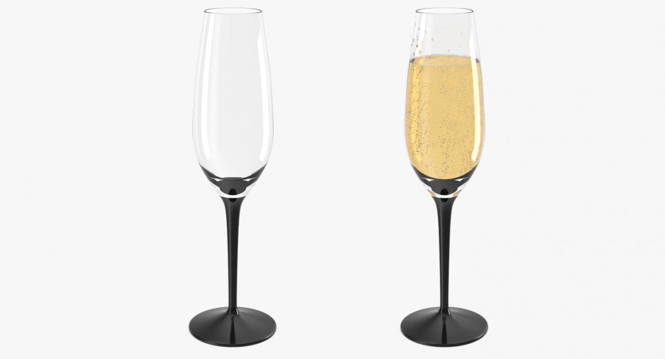 Champagne Accessories Collection 3D