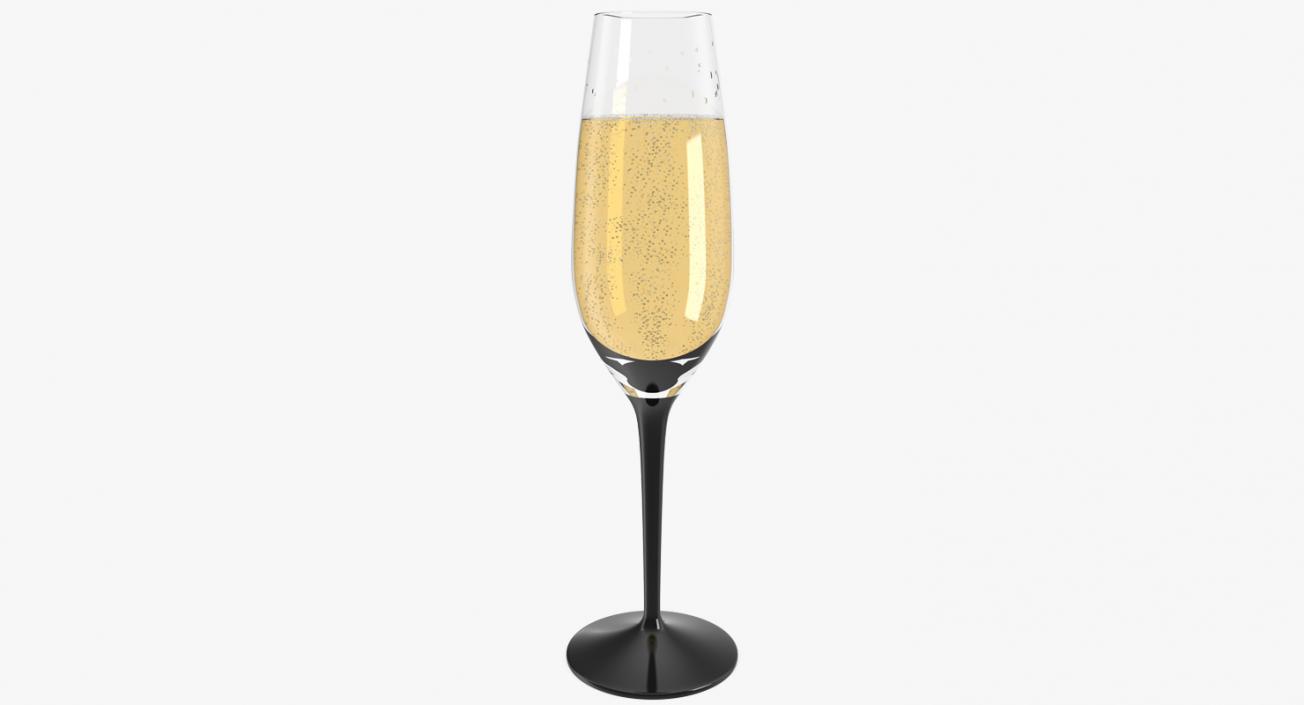 Champagne Accessories Collection 3D