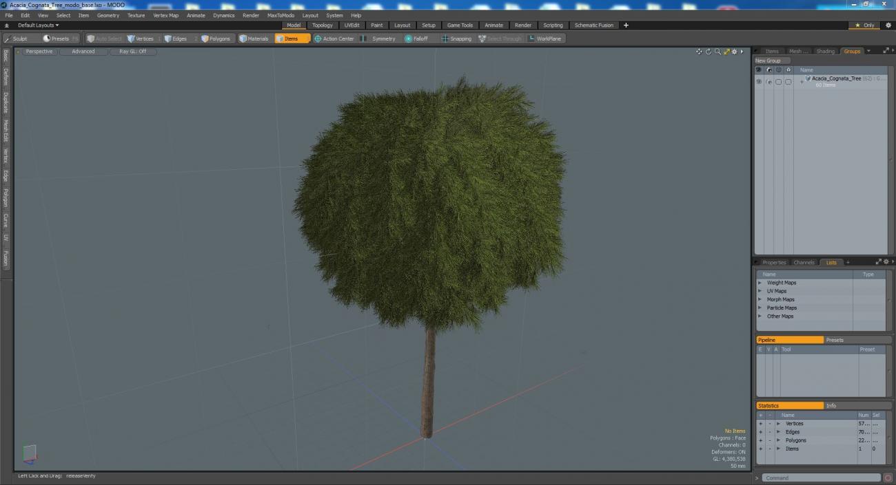 Acacia Cognata Tree 3D model