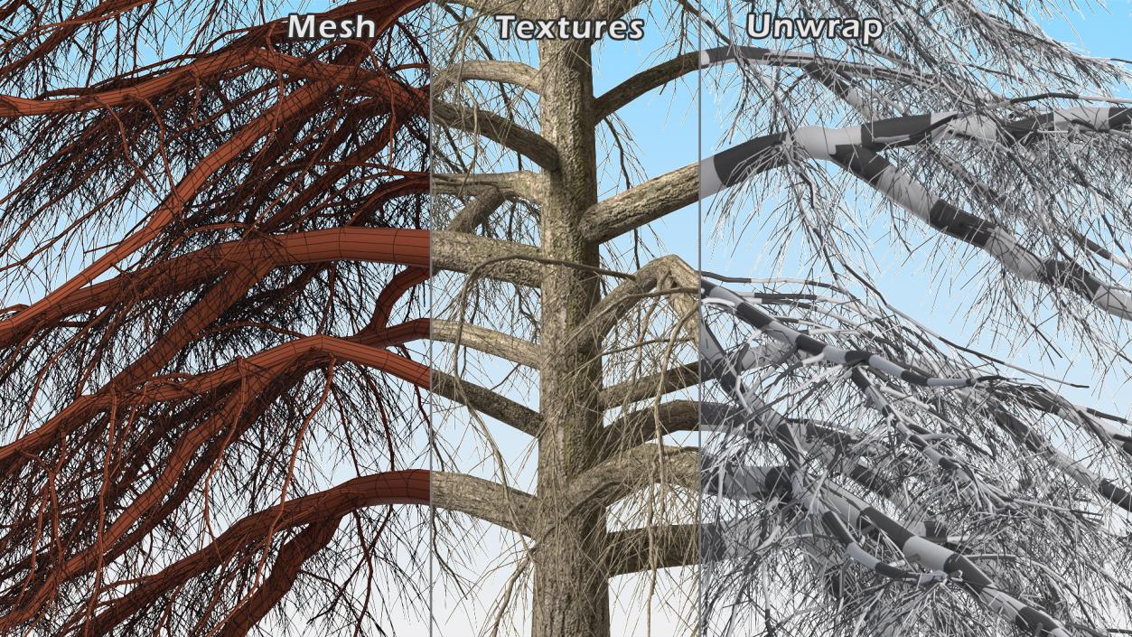 3D model Winter Trees Collection 6