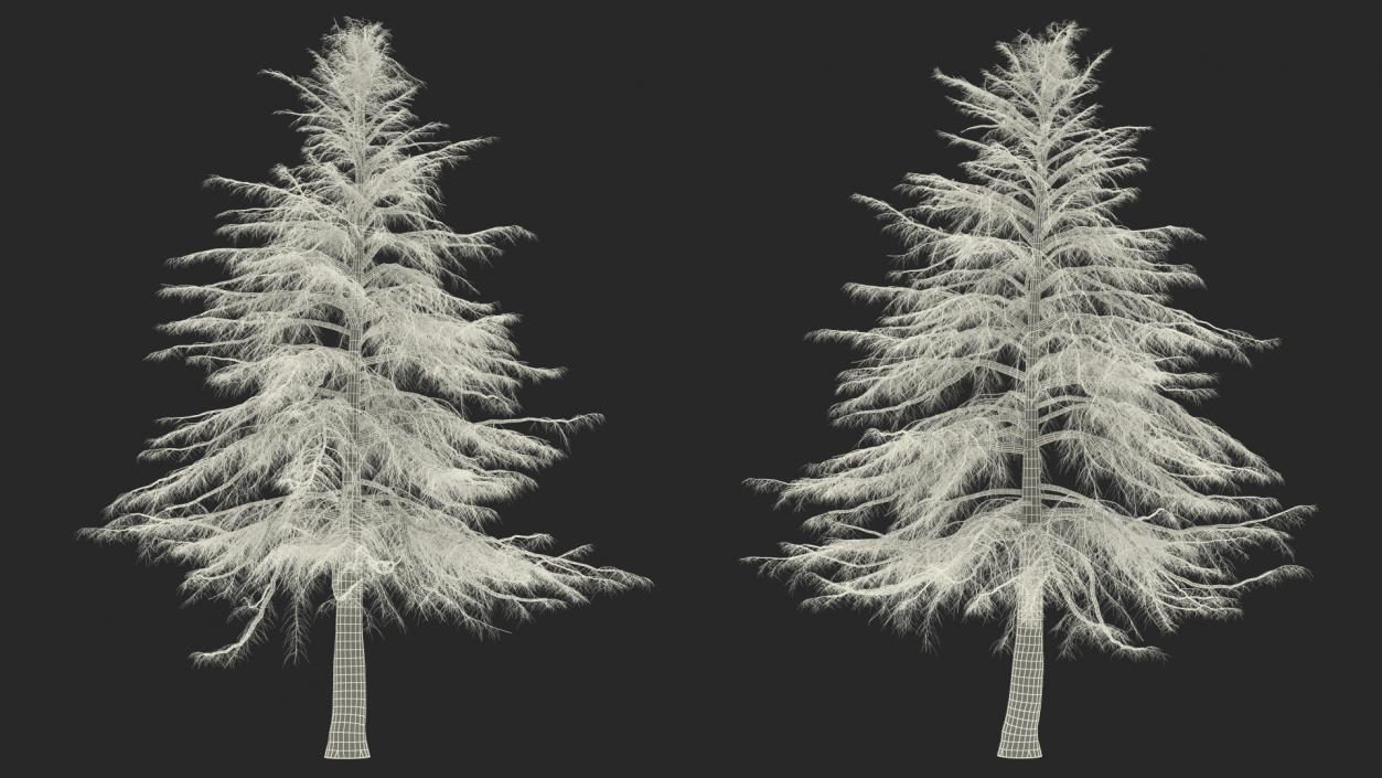 3D model Winter Trees Collection 6