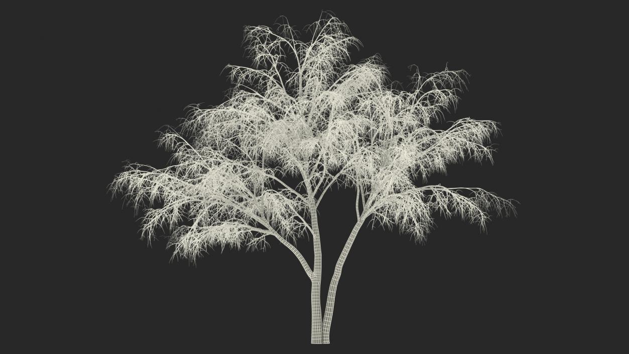 3D model Winter Trees Collection 6