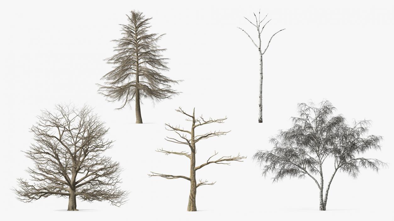 3D model Winter Trees Collection 6