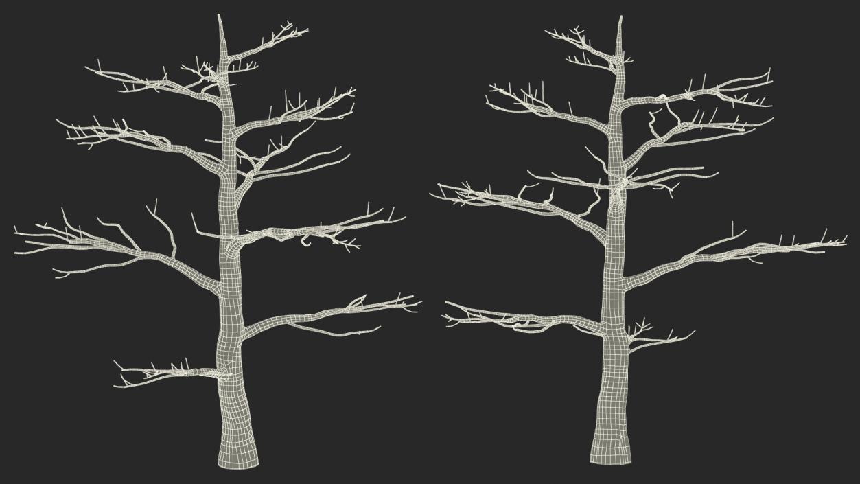 3D model Winter Trees Collection 6