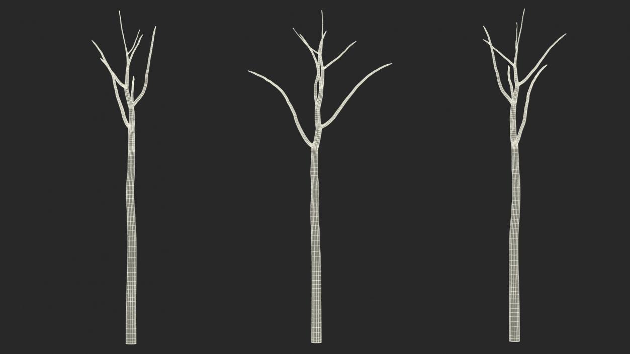 3D model Winter Trees Collection 6