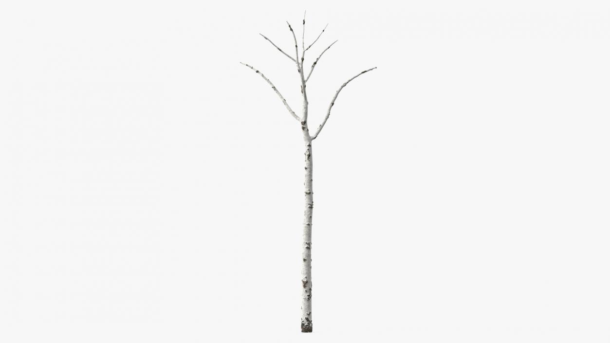 3D model Winter Trees Collection 6