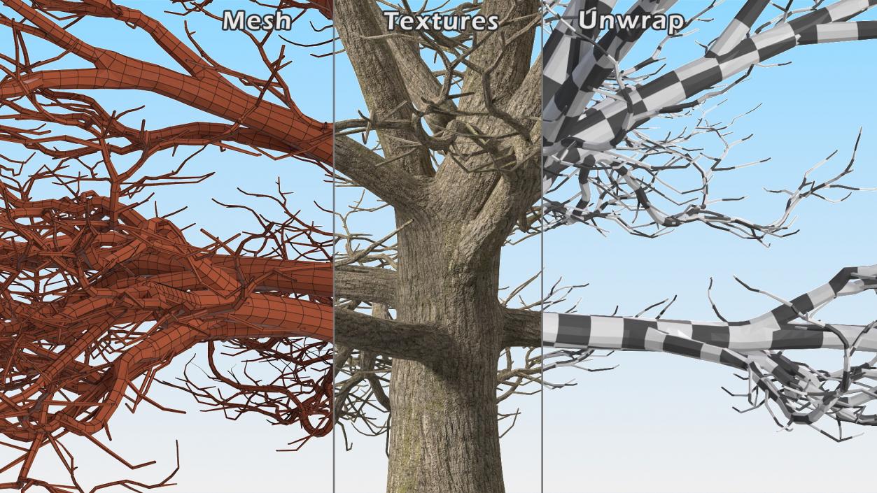 3D model Winter Trees Collection 6