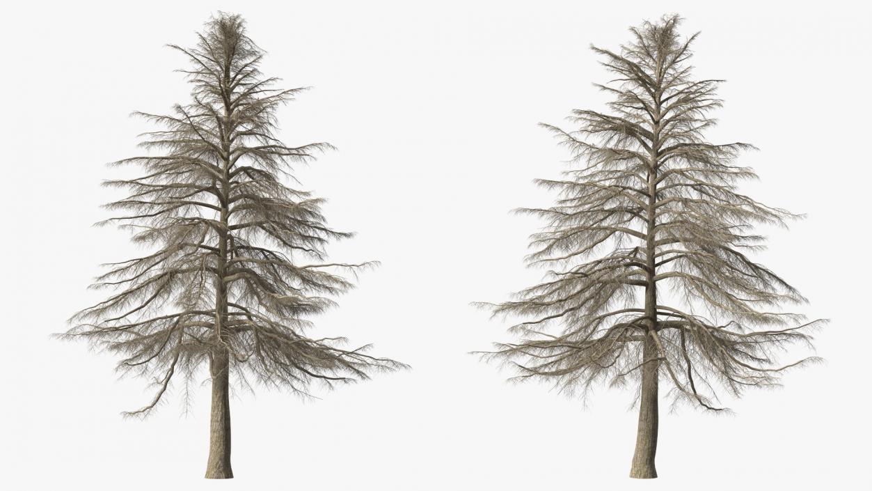 3D model Winter Trees Collection 6