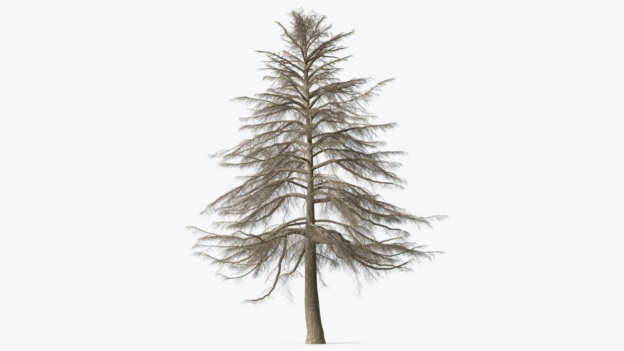 3D model Winter Trees Collection 6