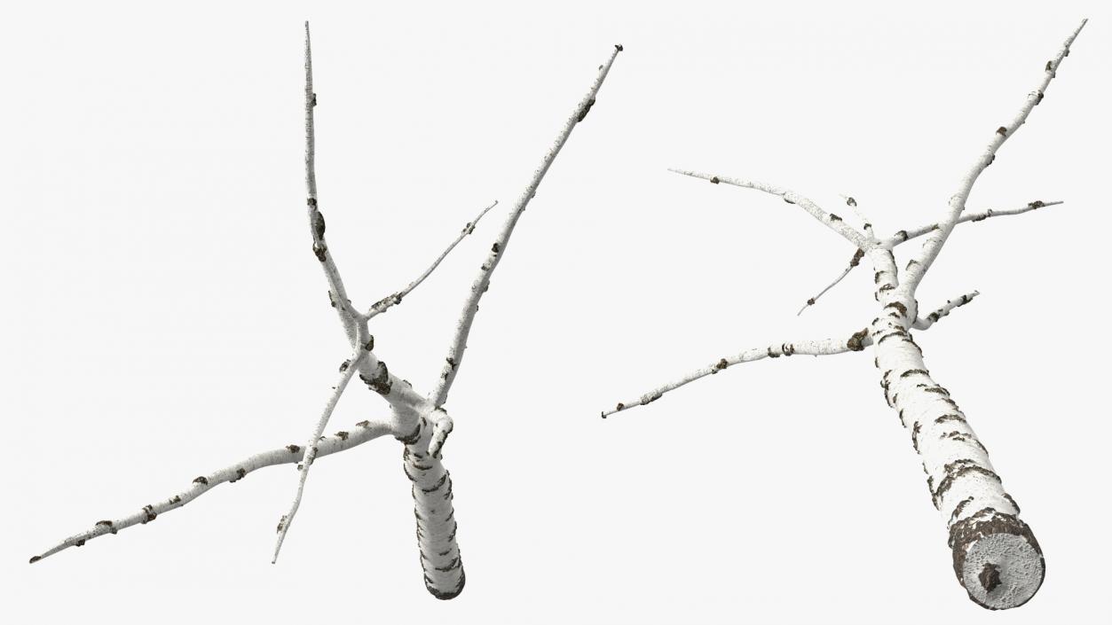 3D model Winter Trees Collection 6