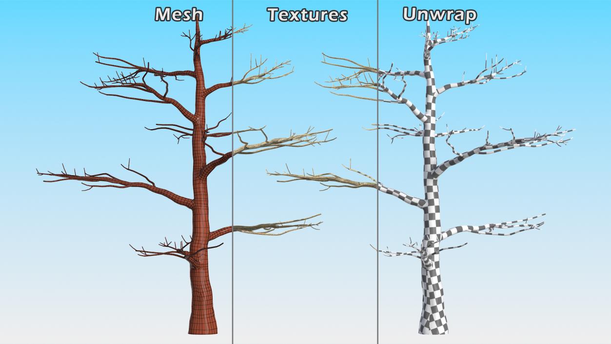 3D model Winter Trees Collection 6