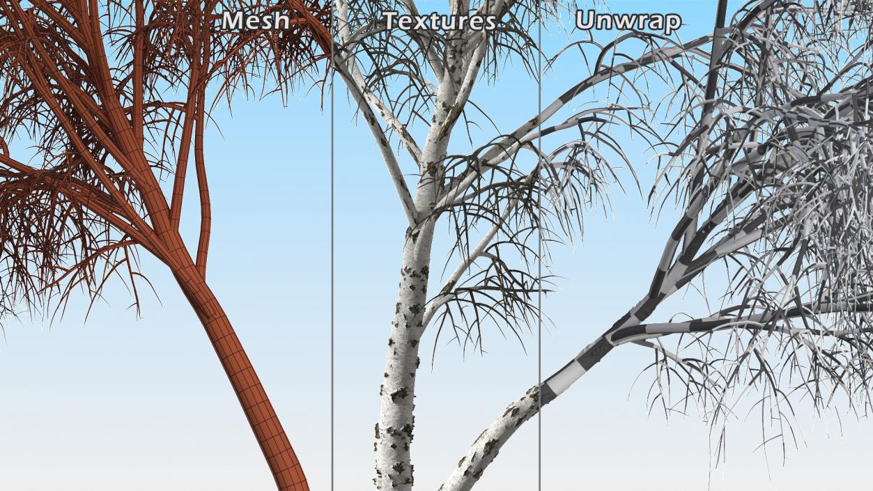 3D model Winter Trees Collection 6