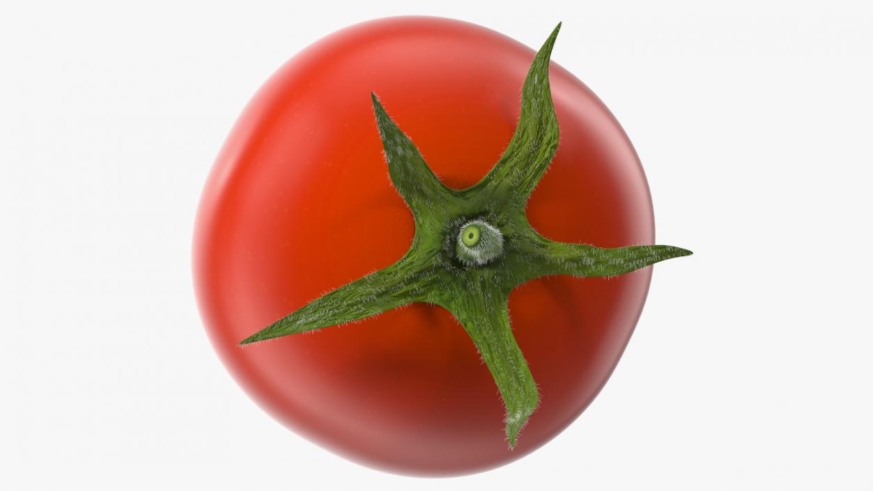 3D Red Cherry Tomato Fur