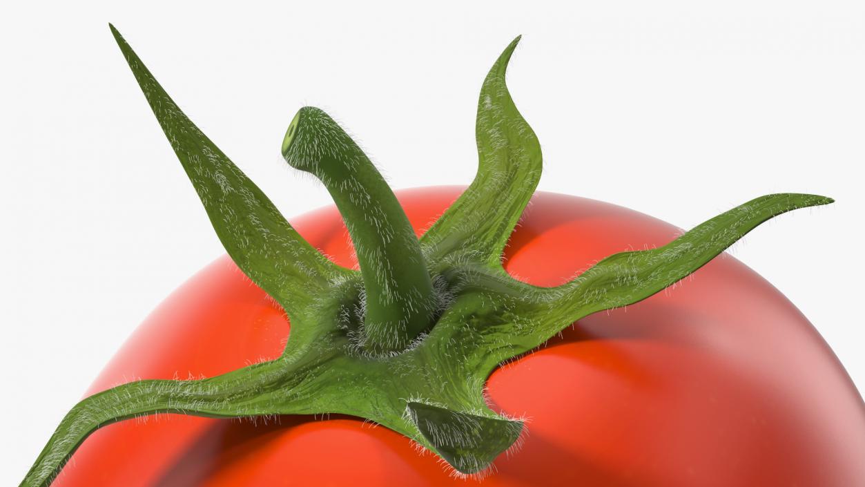 3D Red Cherry Tomato Fur