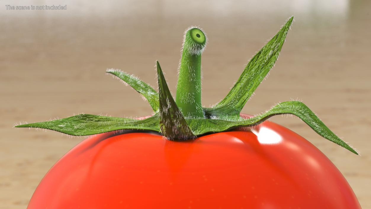 3D Red Cherry Tomato Fur