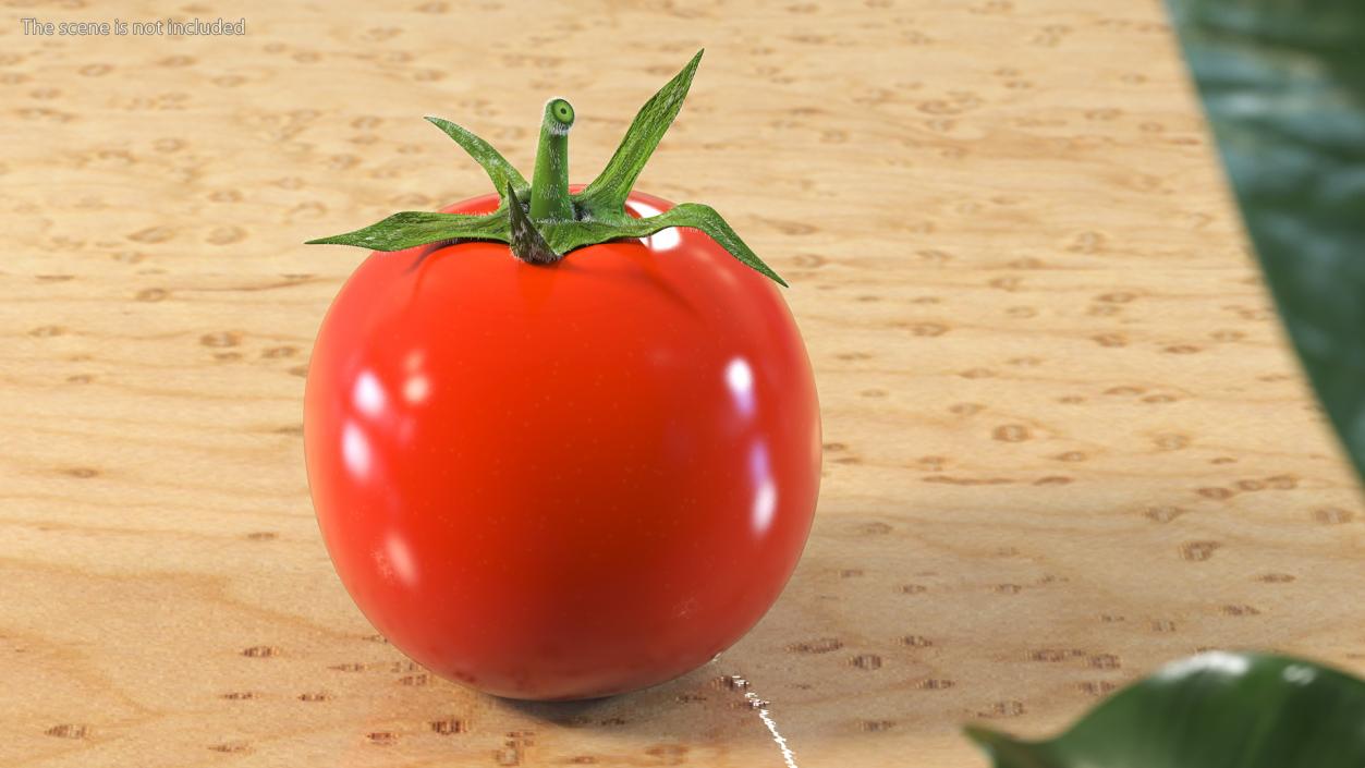 3D Red Cherry Tomato Fur