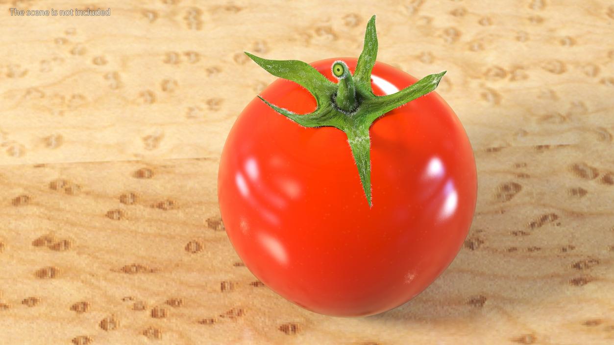 3D Red Cherry Tomato Fur