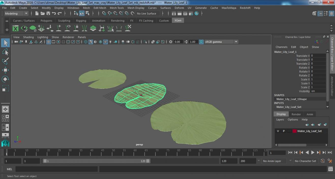 Water Lily Leaf Set 3D model