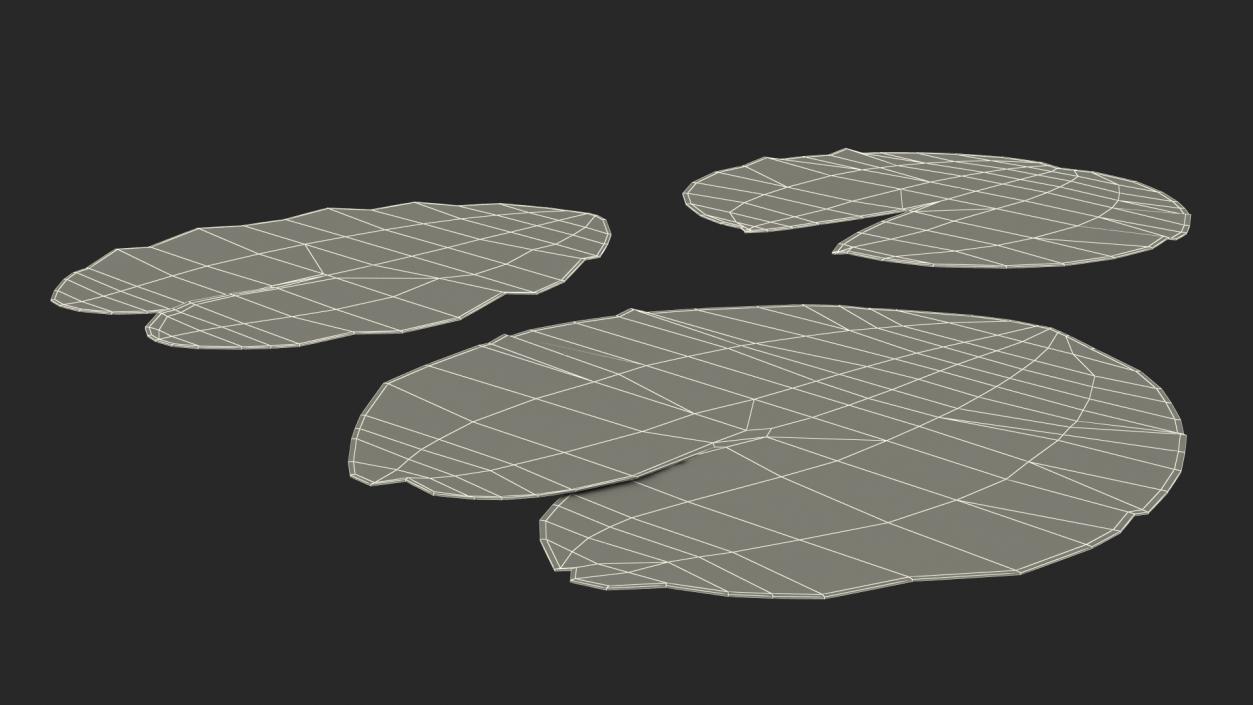 Water Lily Leaf Set 3D model