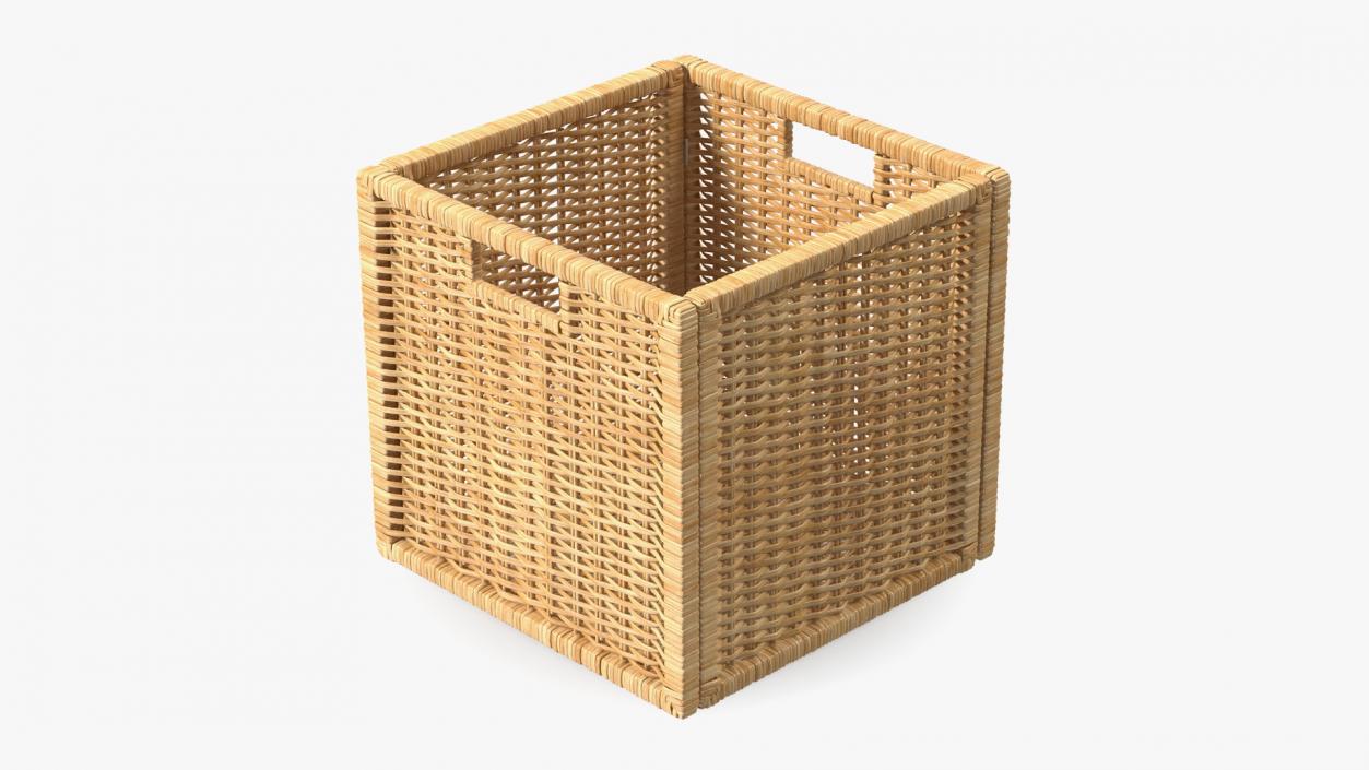 3D Rattan Storage Basket