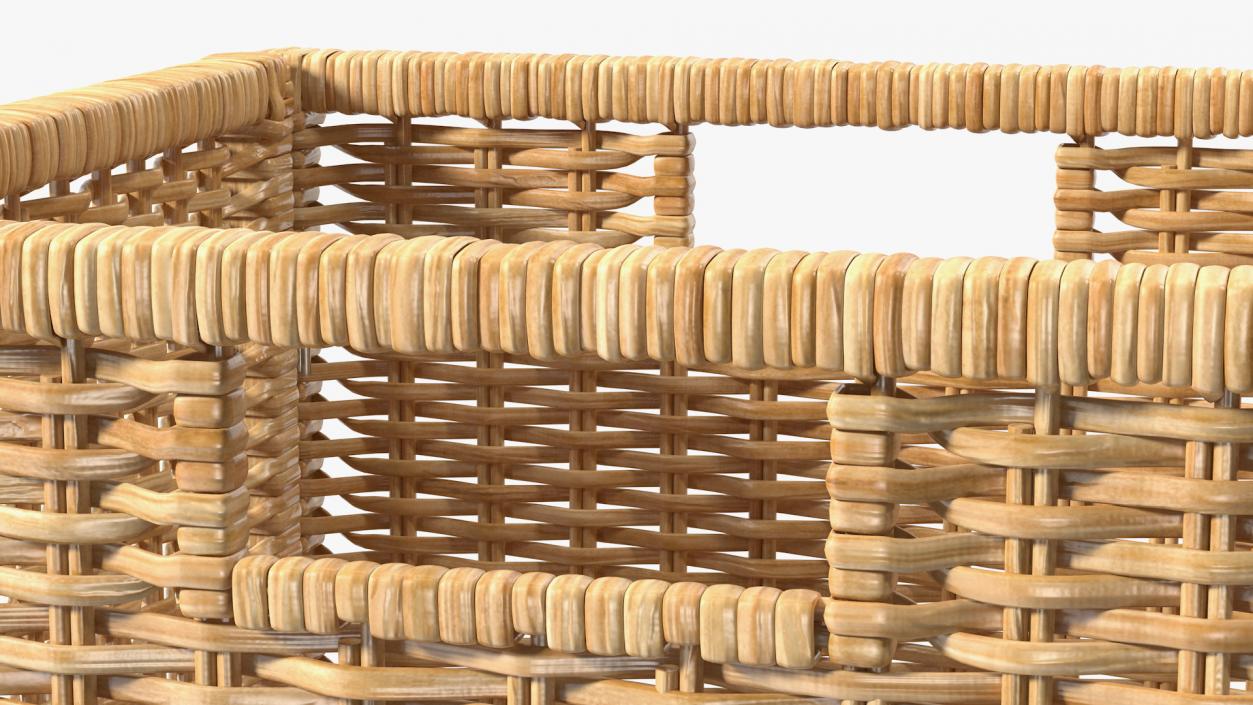 3D Rattan Storage Basket