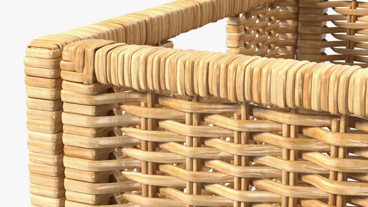 3D Rattan Storage Basket