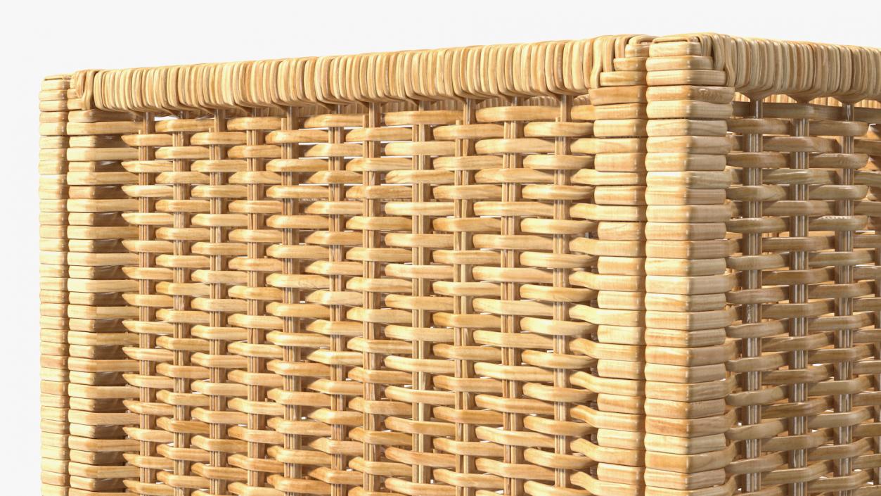 3D Rattan Storage Basket