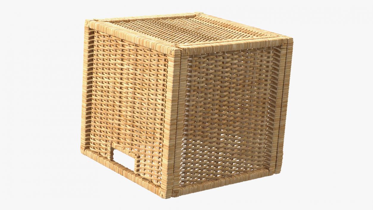 3D Rattan Storage Basket