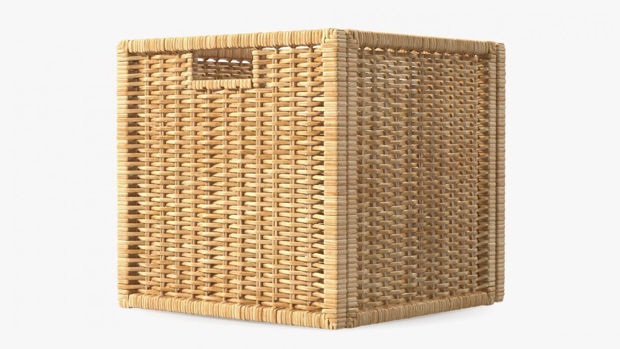 3D Rattan Storage Basket