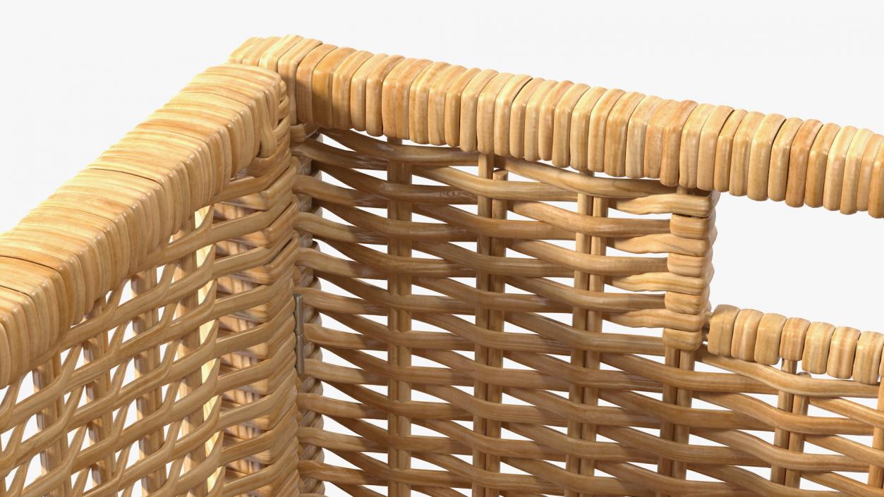 3D Rattan Storage Basket