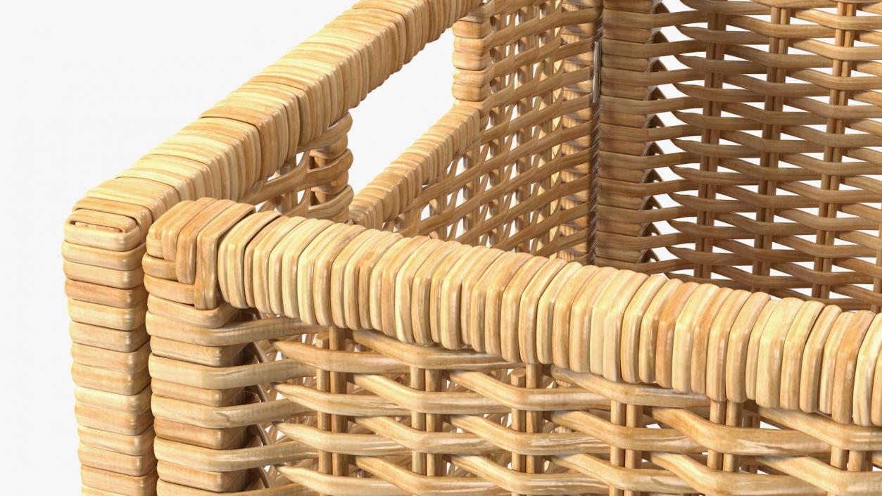 3D Rattan Storage Basket