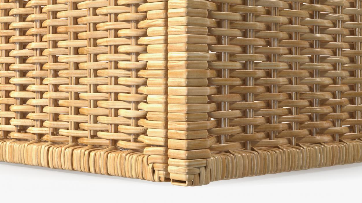 3D Rattan Storage Basket