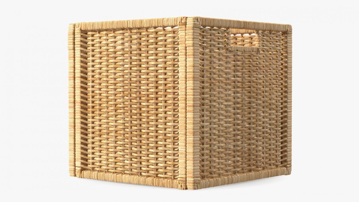 3D Rattan Storage Basket